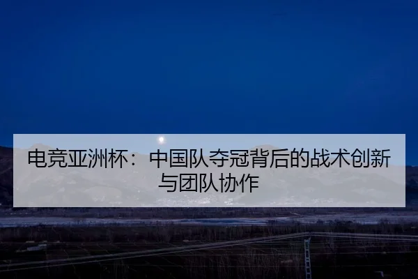 电竞亚洲杯：中国队夺冠背后的战术创新与团队协作
